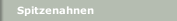 Spitzenahnen